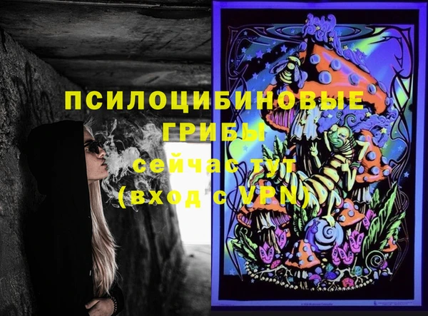 мяу мяу мука Рославль