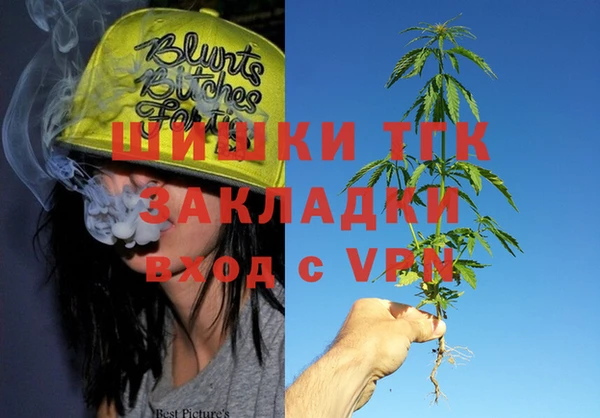 прущие грибы Ростов